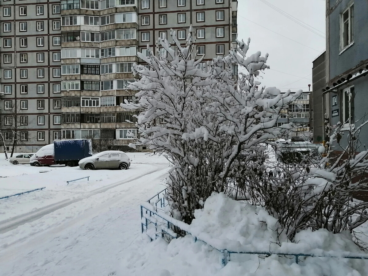 Декабря 2012 г. Сильный снегопад. Снежное утро. Декабрь сугробы на дворе. 1 Декабря снег.