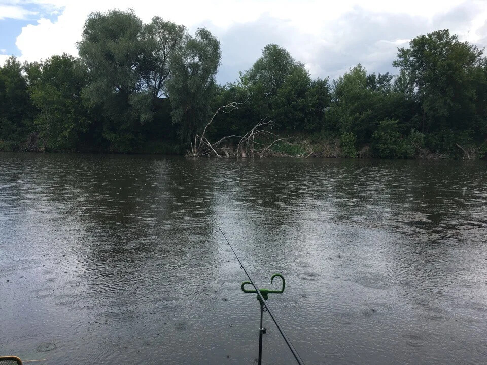 Уровень реки сура в алатыре на сегодня