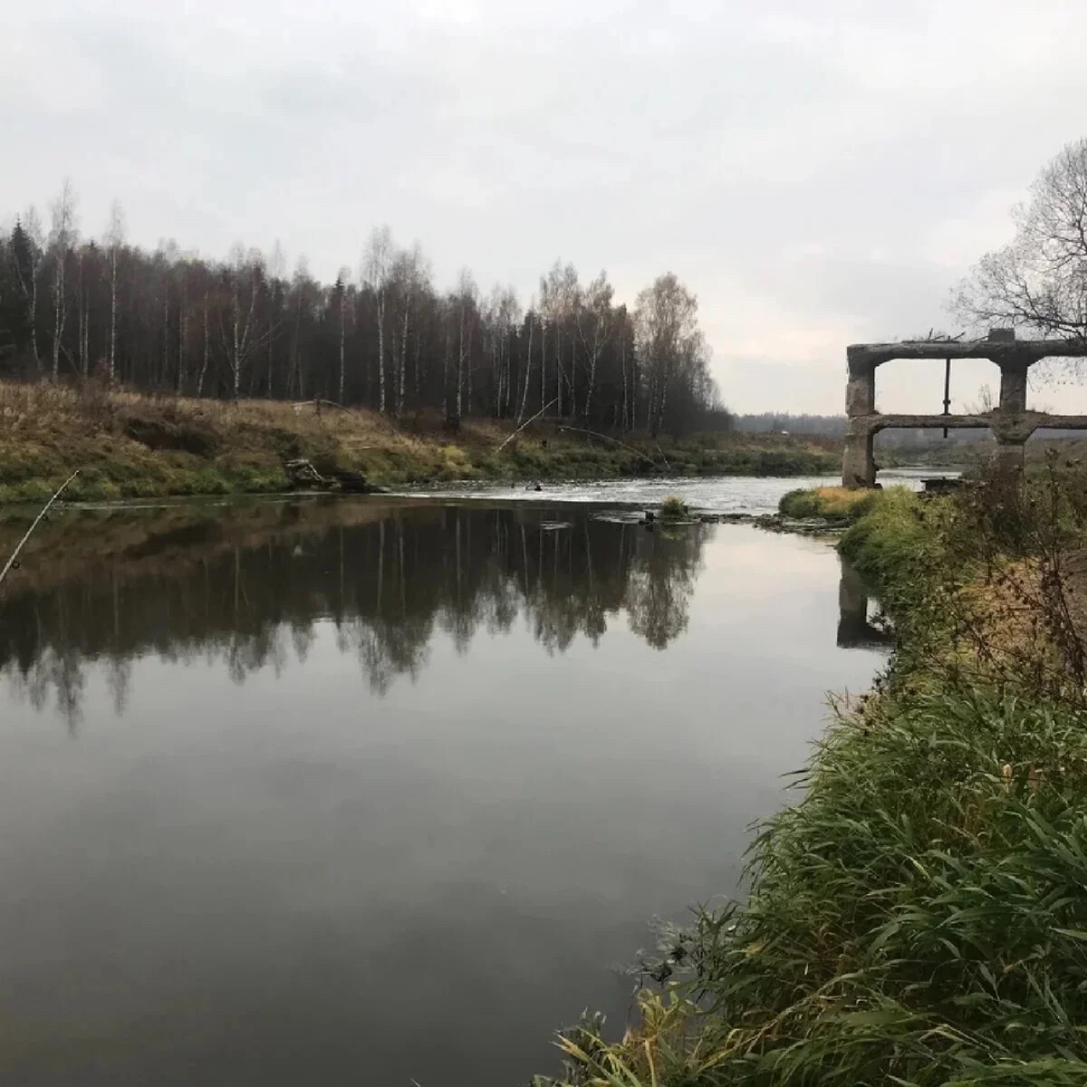 Река сестра. Река сестра Дмитровский район. Клин Московская область река сестра. Дутшево река сестра. Река Железовка Клинского района.