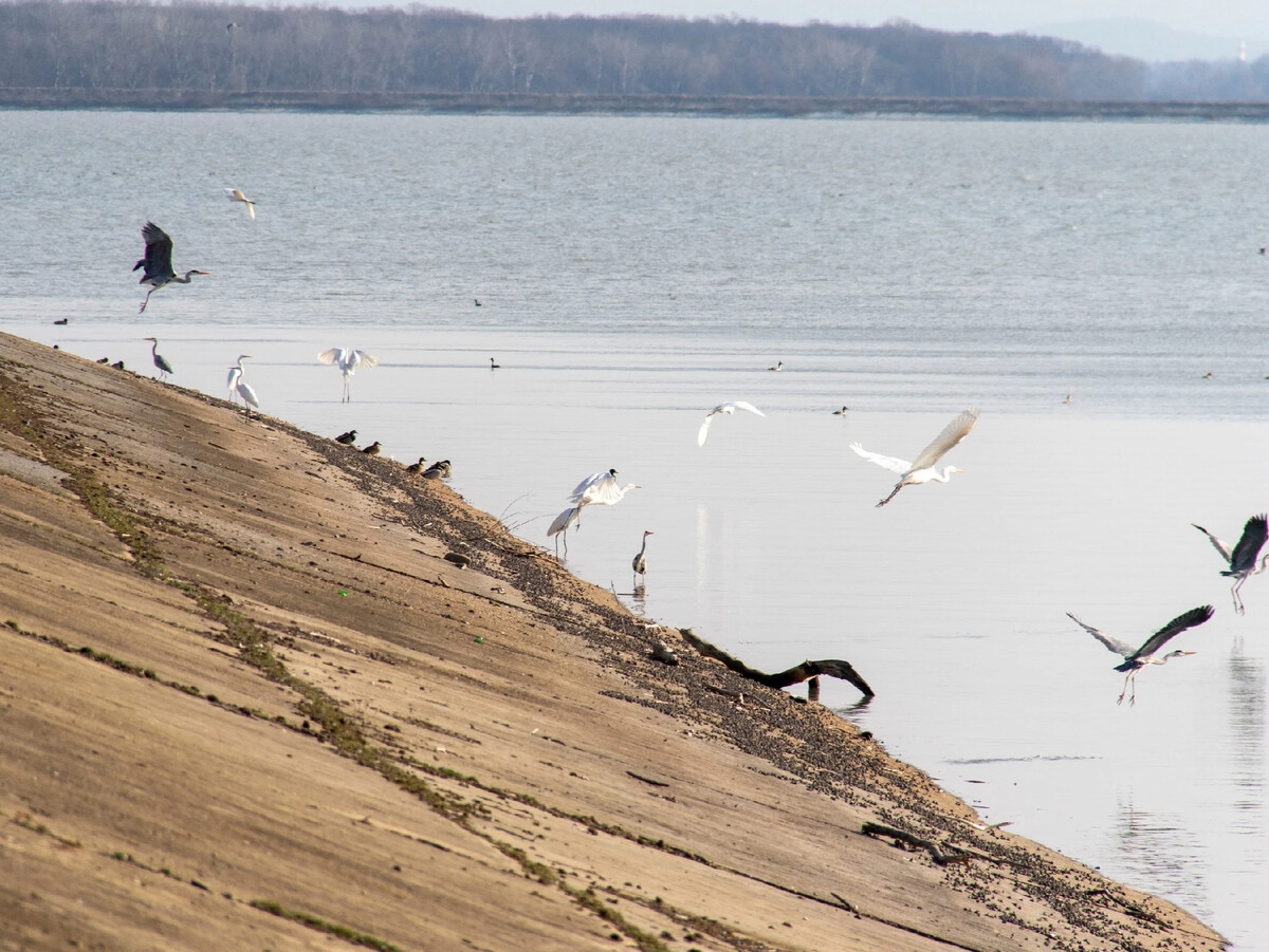 Крюковское водохранилище краснодарского