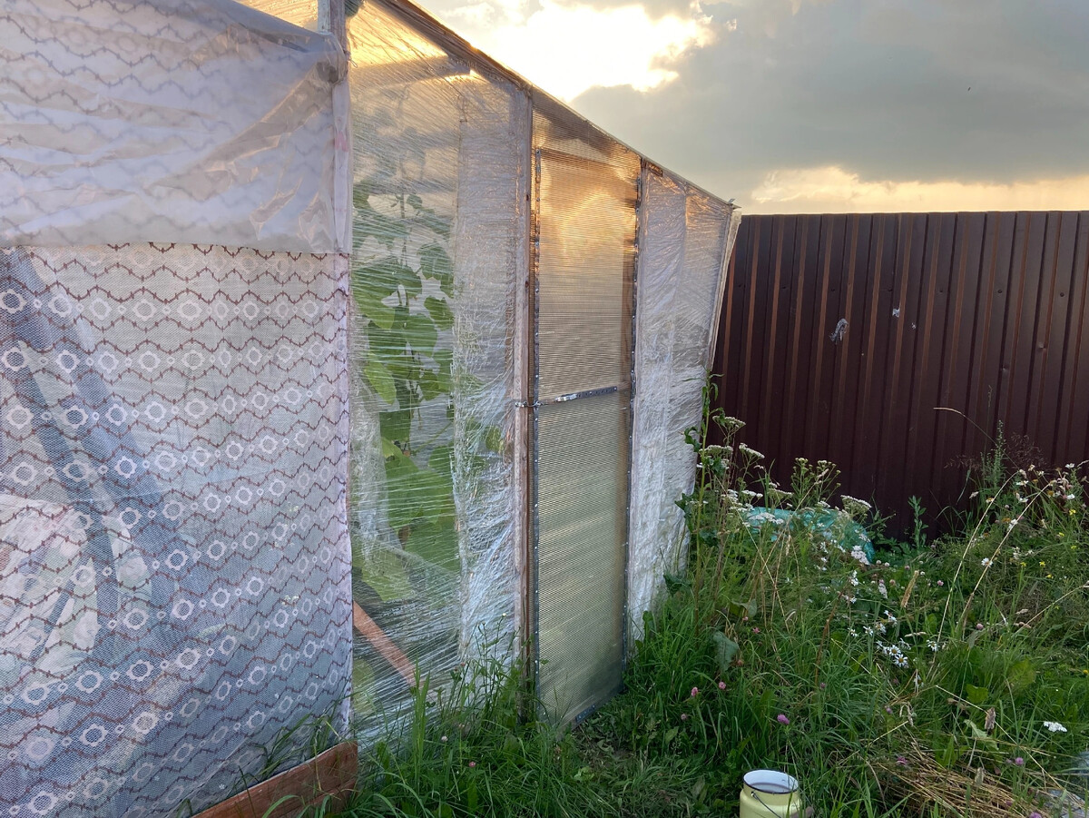 Беседка из стрейч пленки своими руками