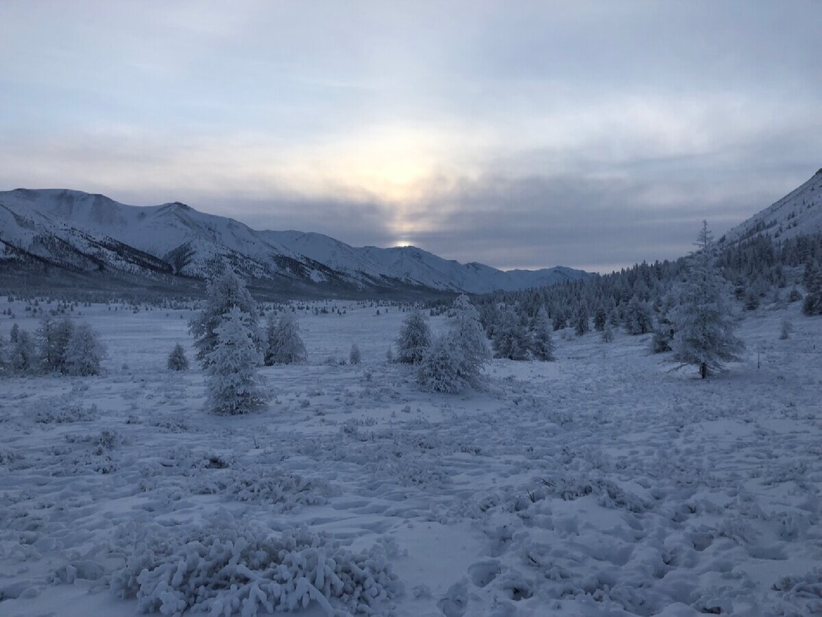 Якутия зимой. Ландшафт Якутии зимой. Зимние просторы Якутии. Якутия зима панорама. Якутия солнце зимой.