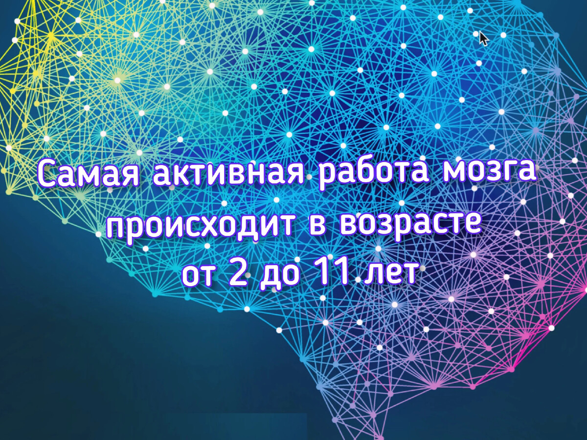 Ученые о мозге человека. Интересные факты о мозге. Интересные факты о мозге человека. Интересные факты о мозге человека для детей. Интересные факты про мозг 2 класс.