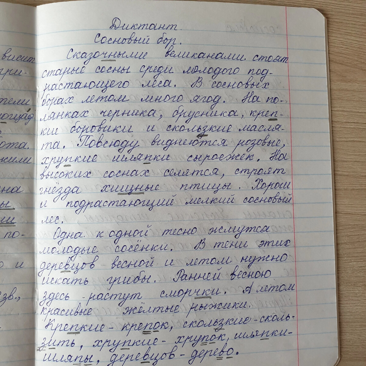 диктант ель. впр диктант красив сосновый бор. русский язык 4 класс диктант 3 четверть школа россии. диктант про белку. диктант 5 класс.