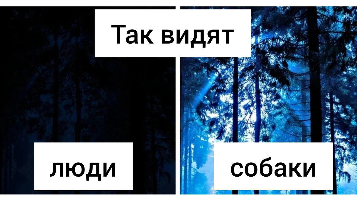 Train your mind to see the good in every situation. Позитивный взгляд на мир. Жизнь через розовые очки. Восприятие мира. Тепляковы параллельная реальность.