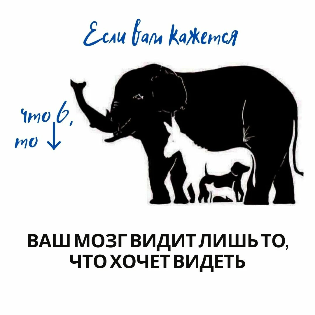 Сколько животных. Сколько животных вы видите на картинке. Сколько различий вы видите между двумя картинками Brain. Сколько различий вы видите Brain.