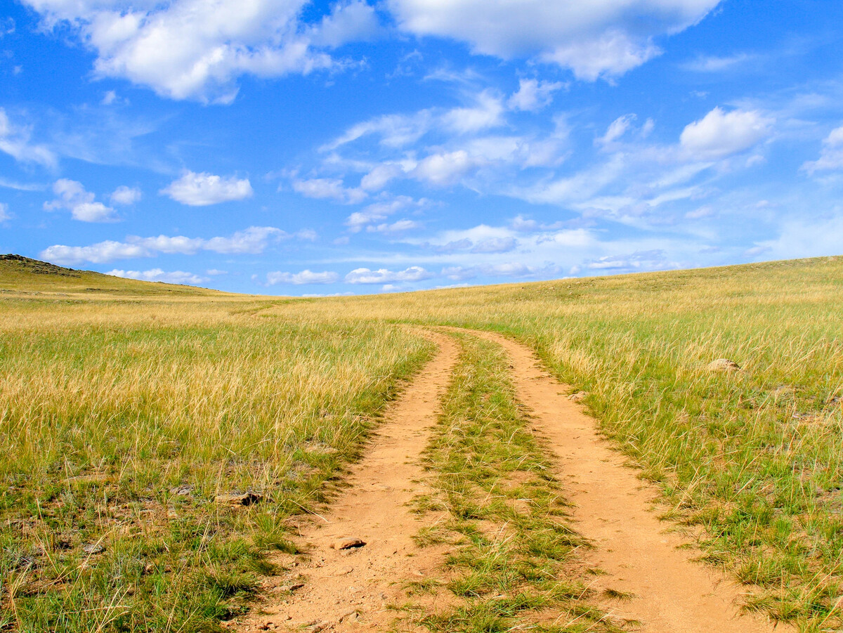 вокруг тянулась плоская унылая степь знаки препинания. вокруг тянулась плоская унылая степь. краснокаменск степь. пыльная дорога степи. тянулась плоская унылая степь.