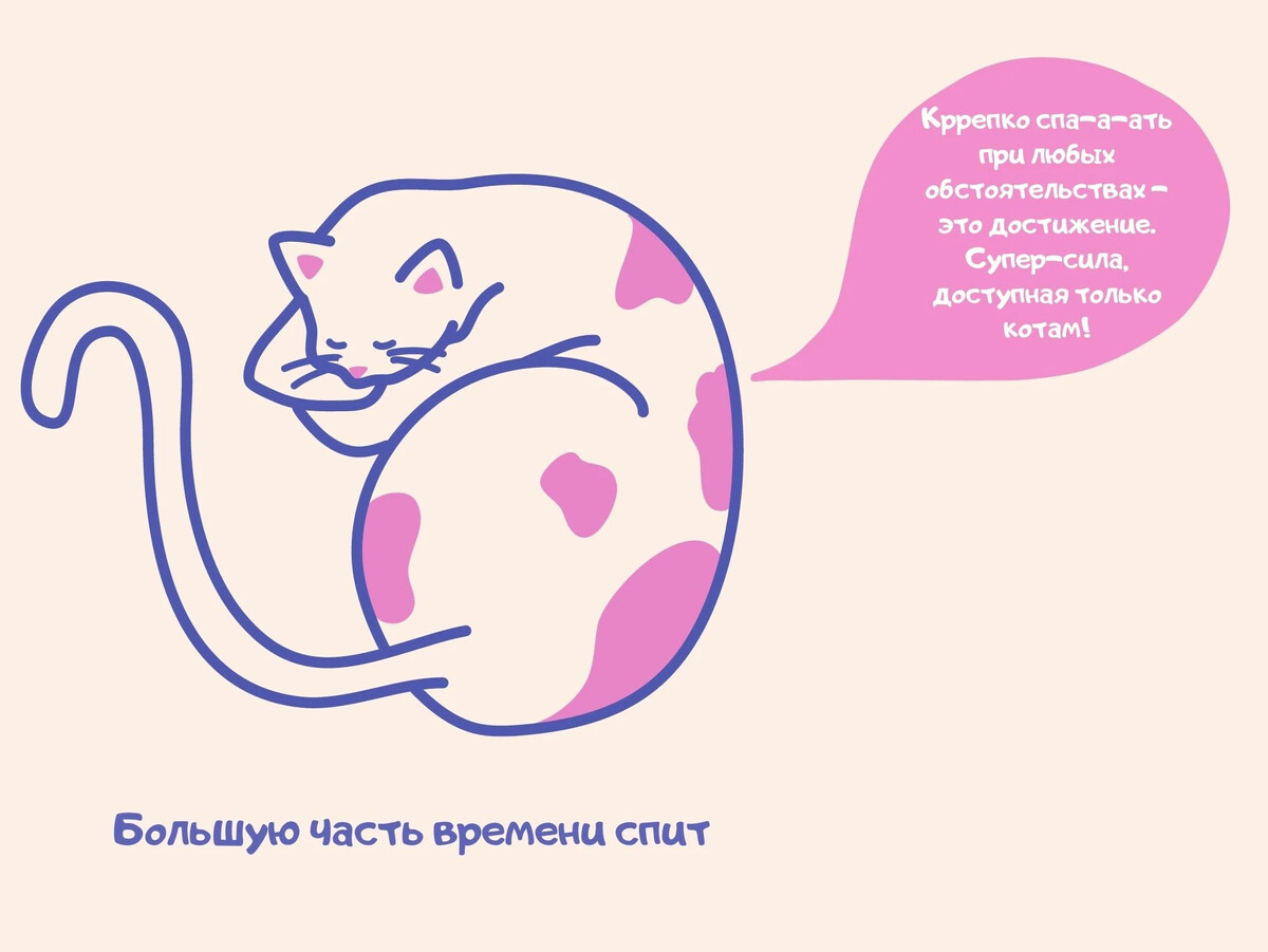 <b>У</b> <b>котов</b> есть недостатки? 