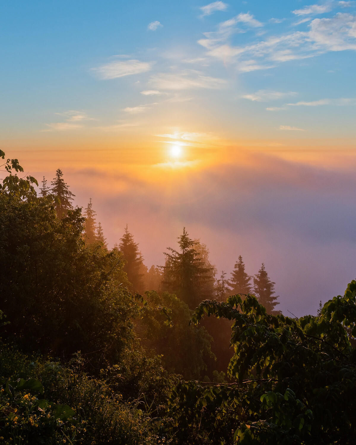 Утро восход. Рассвет фото. Утренний рассвет. Пейзаж закат. Рассвет цитаты.