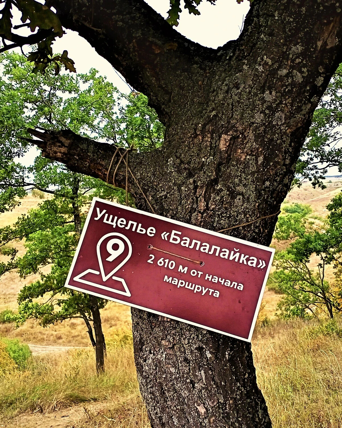 Карта аргамач пальна