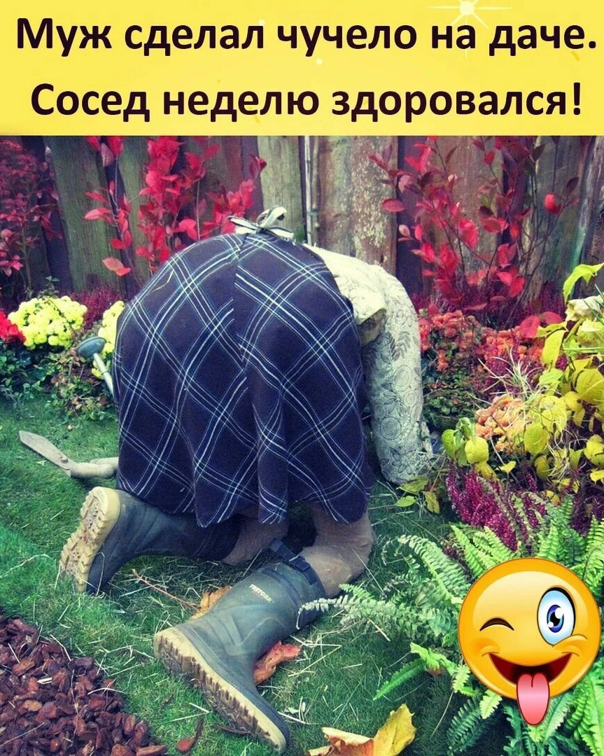 Все на грядки смешные картинки