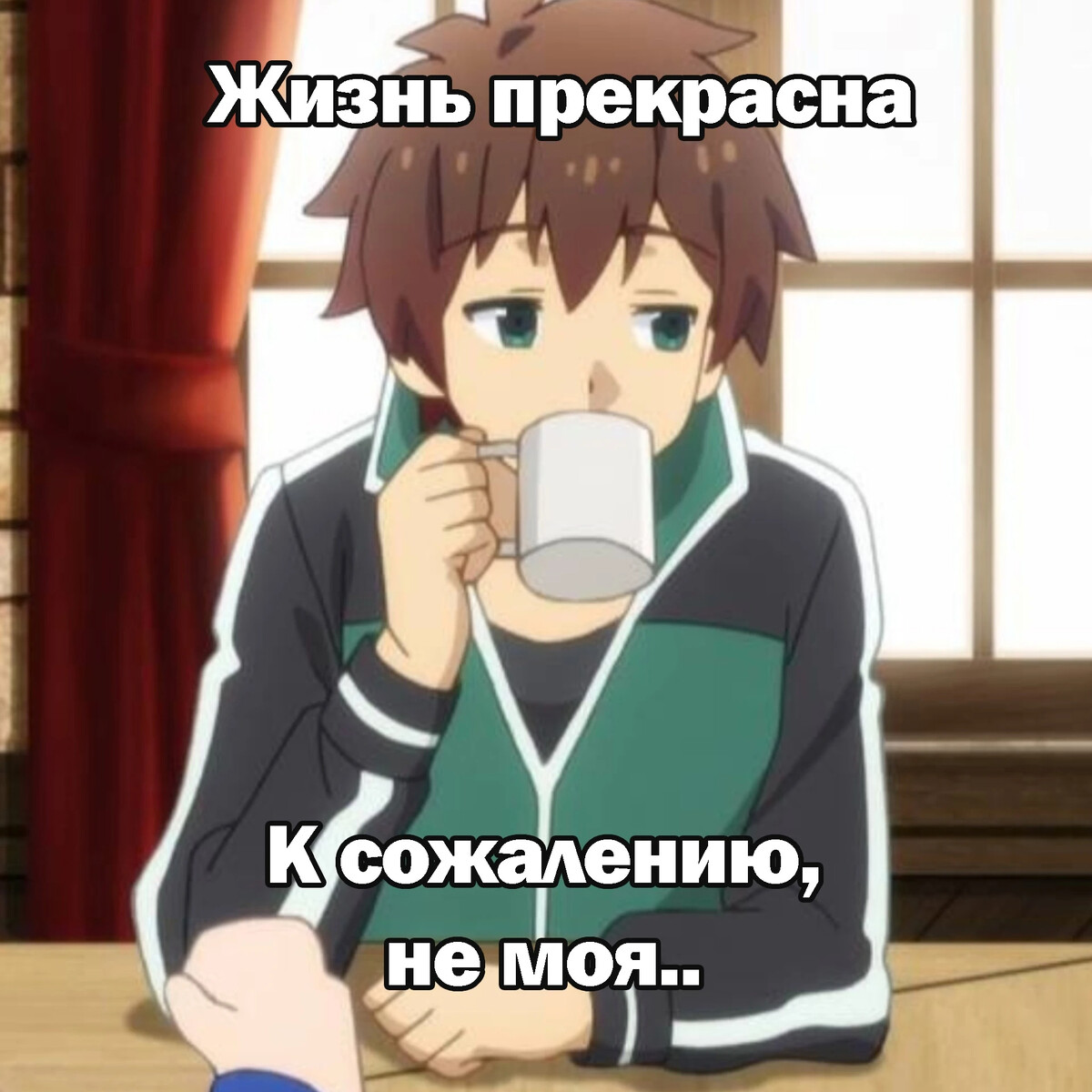 Все любят мемы #аниме АниСериалс Яндекс Дзен 
