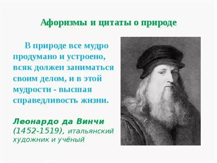 Высказывания ученных. Высказывания ученых о природе. Цитаты о природе великих людей. Высказывания о природе великих людей. Великие фразы о природе.