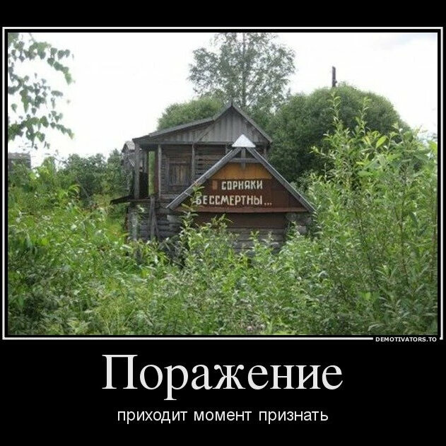 Дача приколы в картинках