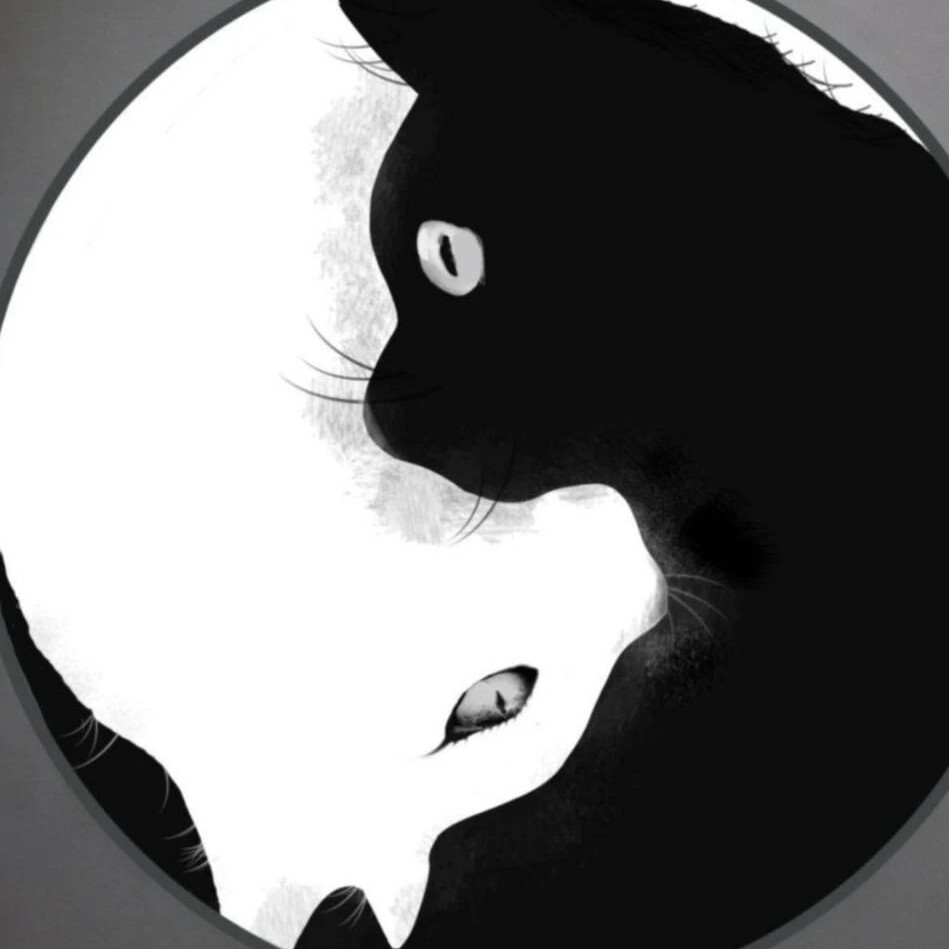 Аватар черный кот. Инь Янь черно белое. Контраст черного и белого. Чёрный кот. Коты Инь Янь.