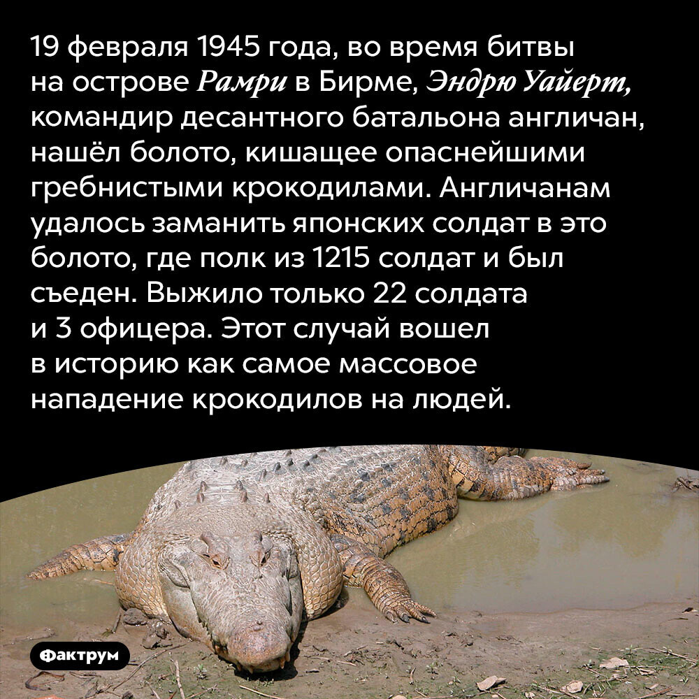 Остров крокодилов где находится