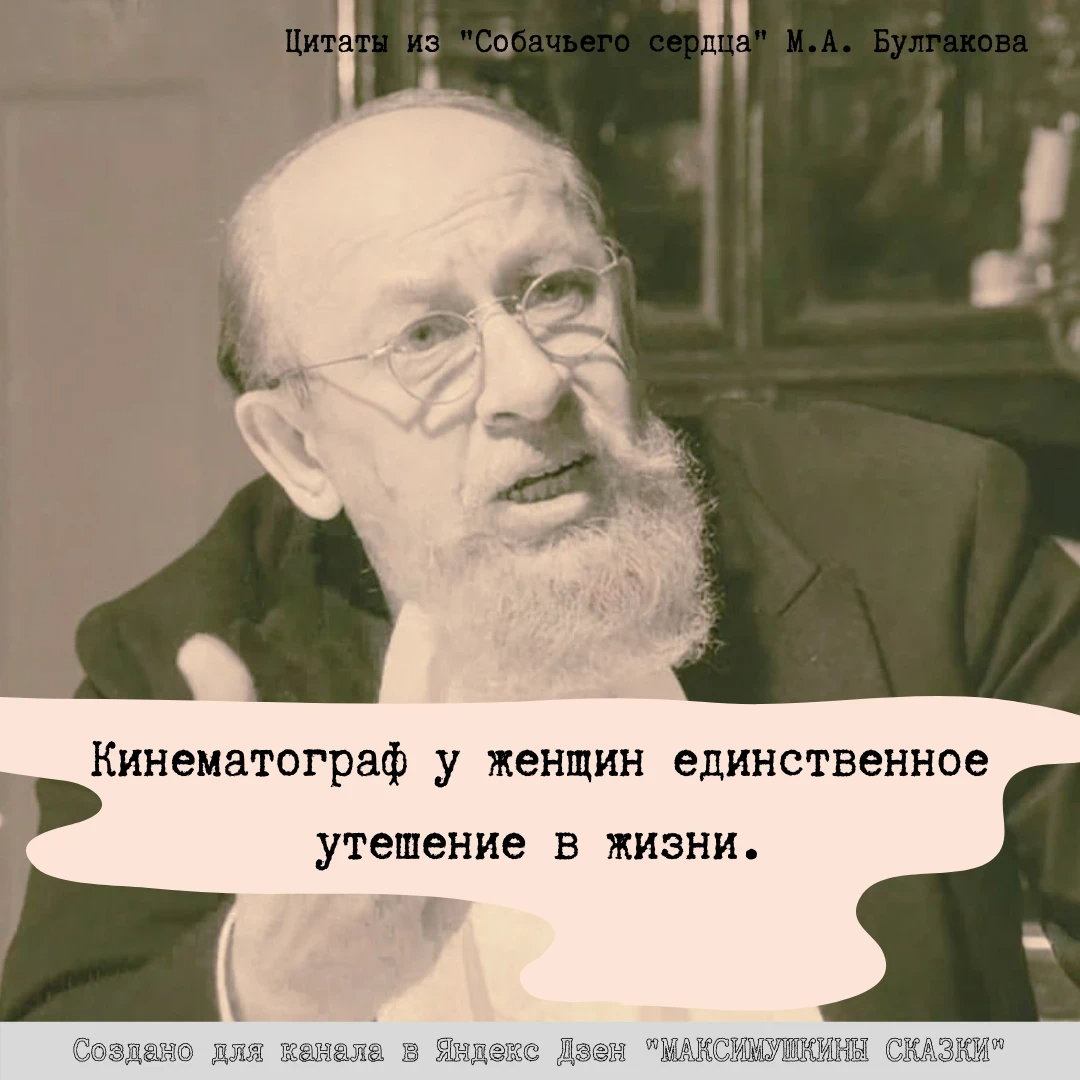 Шариков цитаты. Высказывания из собачьего сердца. Собачье сердце цитаты. Цитаты шарикова из собачьего сердца булгакова. Цитаты из собачьего сердца.