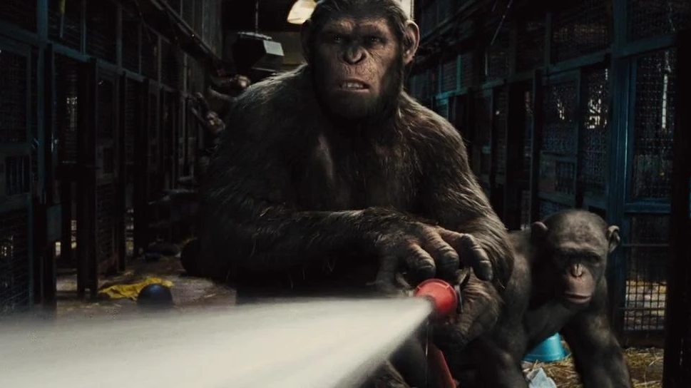 Восстание планеты обезьян 2011. Восстание планеты обезьян - Rise of the Planet of the Apes (2011). Джеймс Франко Планета обезьян. Цезарь обезьяна фильм 1.