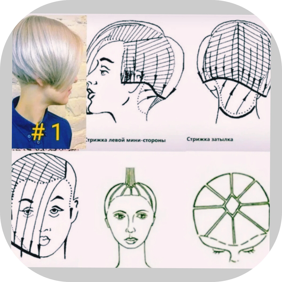 Уроки короткой стрижки. Градуированный Боб каре схема. Схема стрижки Боб каре градуированное. Технология выполнения стрижки градуированное каре схема. Схема стрижки градуированное каре на короткие волосы.