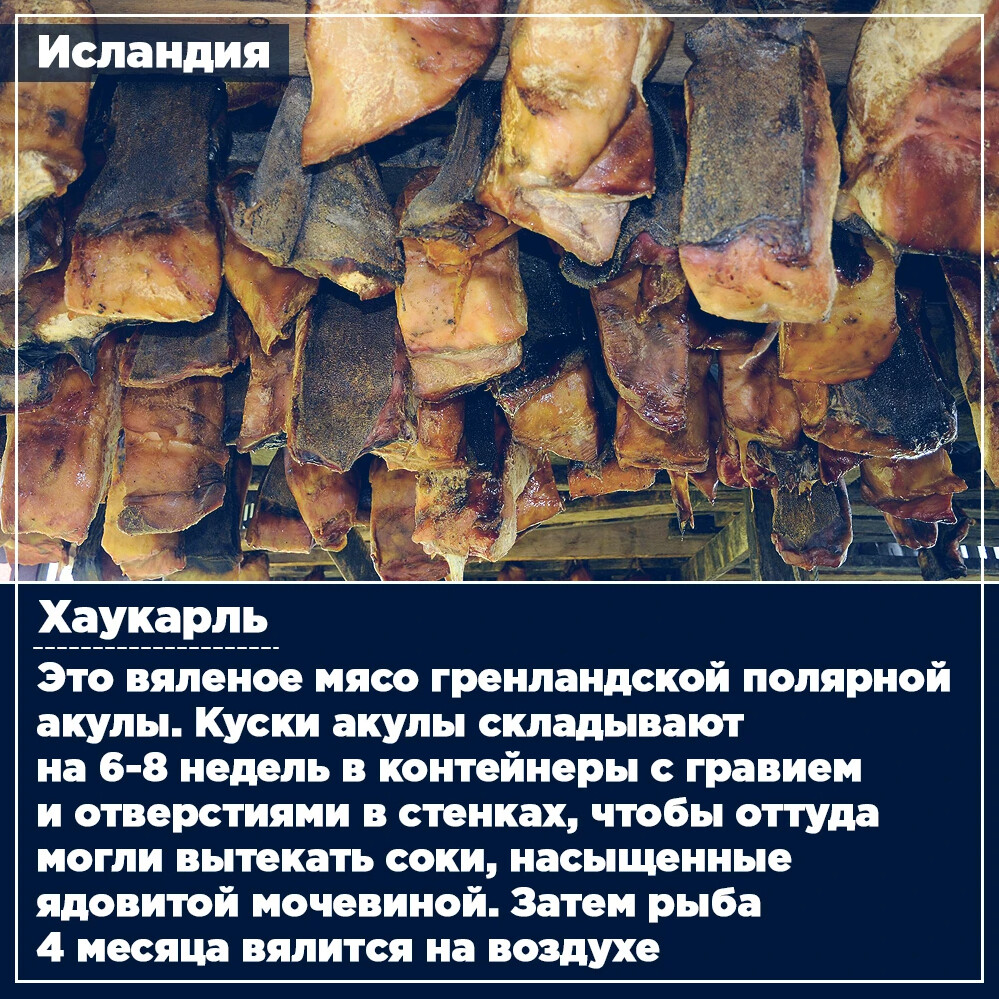 Всемирный день тунца 2 мая картинки