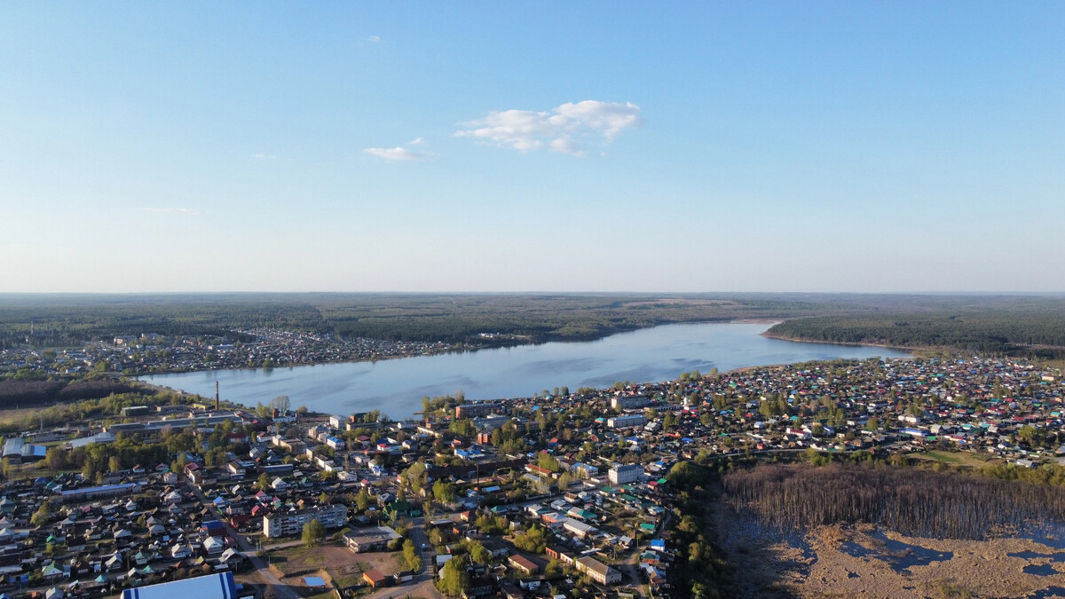 Камбарка животное фото