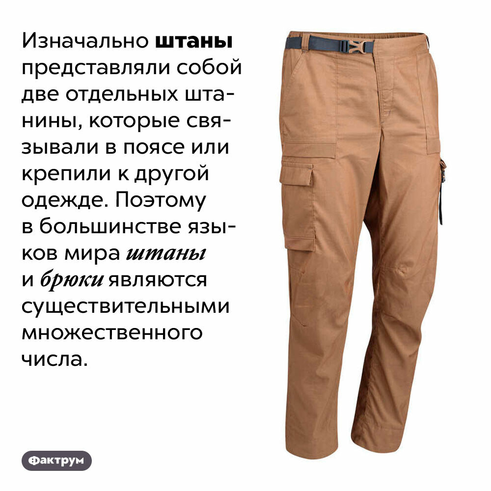 История появления брюк. Женские брюки ассортимент. История появления брюк. Загадка про брюки для дошкольников. Штаны текст.