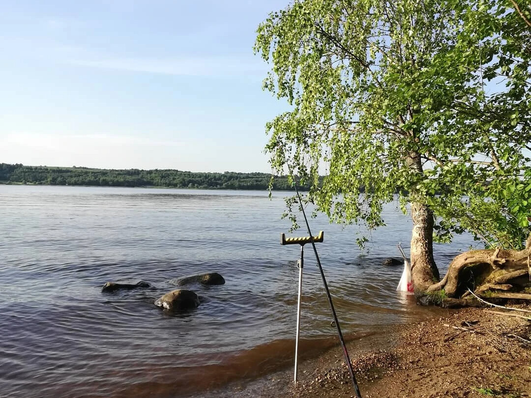 Волгафишинг новости с водоемов нижнем новгороде. Рыбалка с ВОЛГАФИШИНГ. Удача рыбака Биосфера. Рыбалку Найди на Шигарке речка шигарка рыбалка отдых.