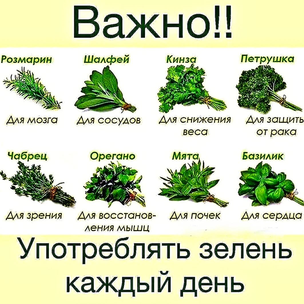 растения на вашем столе