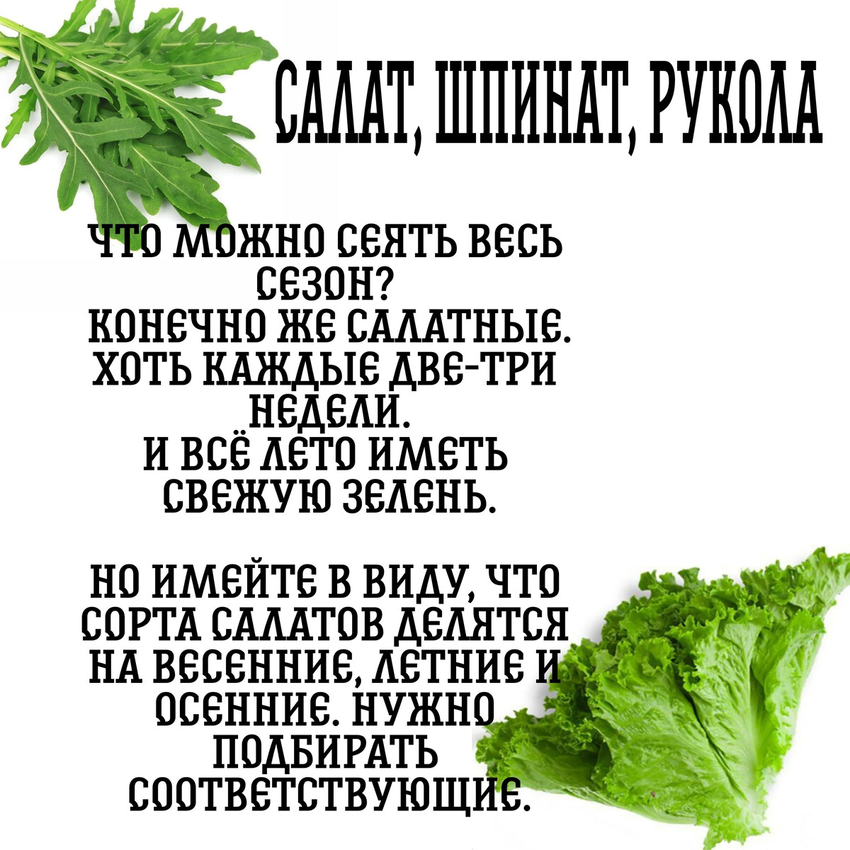 Отчаянная домохозяйка яндекс дзен. Дневник отчаянной домохозяйки дзен. Отчаянная домохозяйка яндекс дзен. Дневник отчаявшейся домохозяйки яндекс дзен. Дневник отчаянной домохозяйки дзен.