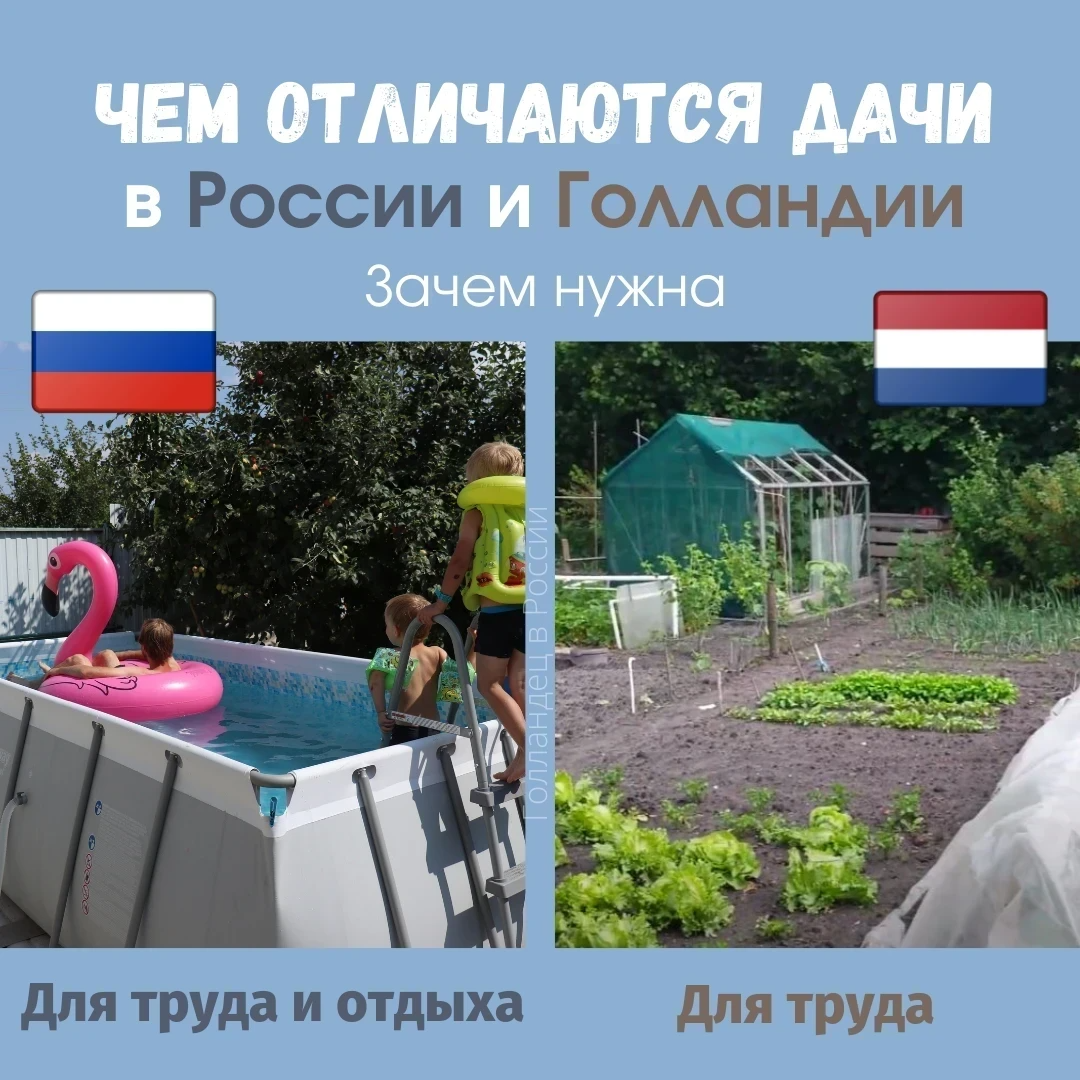 Поразительные отличия русских и голландских дач. В России дача - это .