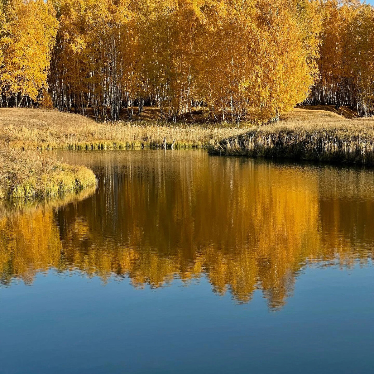 Красивый осенний денек