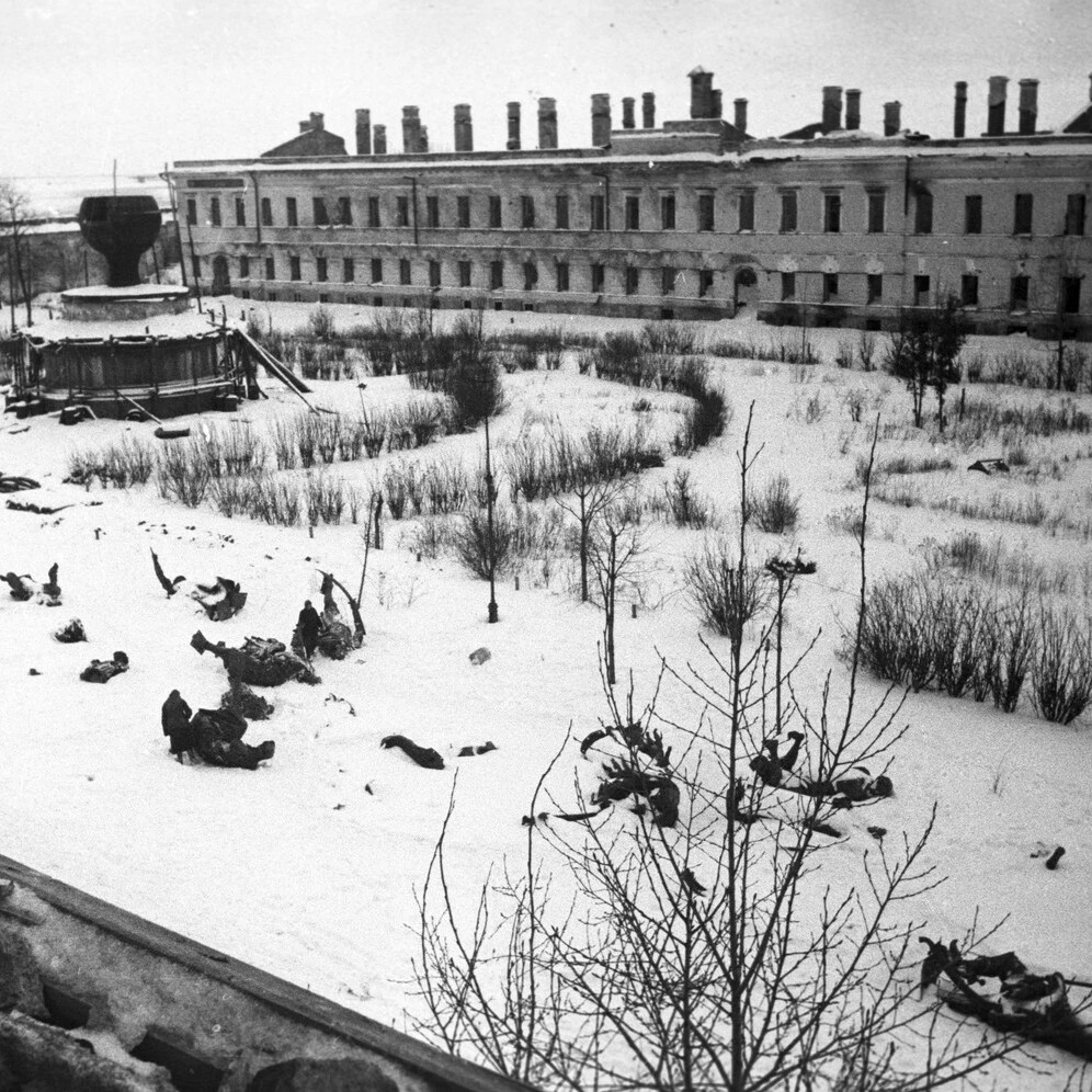 20 января 1944 года день освобождения великого новгорода от немецко фашистских захватчиков