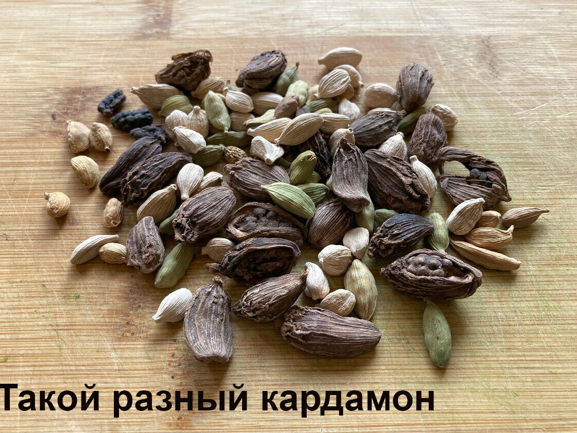Как выглядят семена кардамона