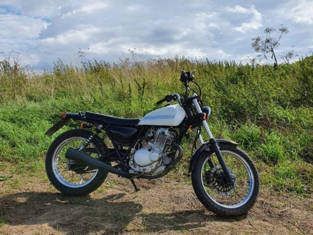 Suzuki GRASSTRACKER 250