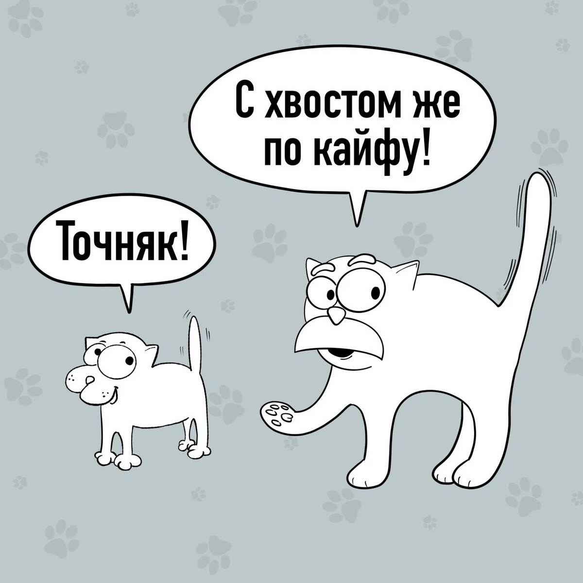 Все коту под хвост