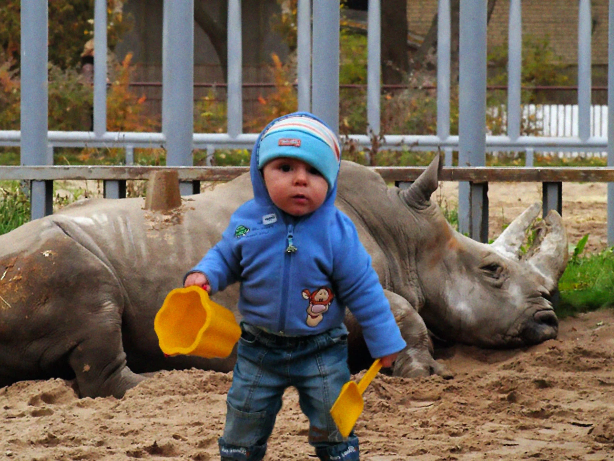 а по сопатке картинки. а по сопатке особенности национальной охоты. а по сопатке. сопатка. где находятся лимфатические узлы у человека фото.