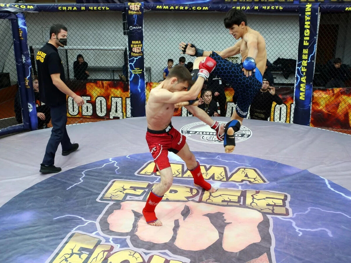Презентация на тему mma смешанные единоборства