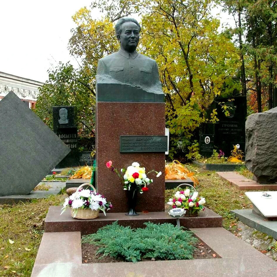 Новодевичье кладбище Ван мин