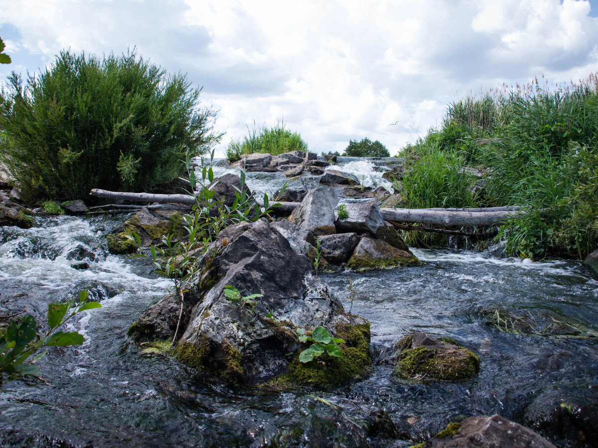 Село Михайловка Саратовский район