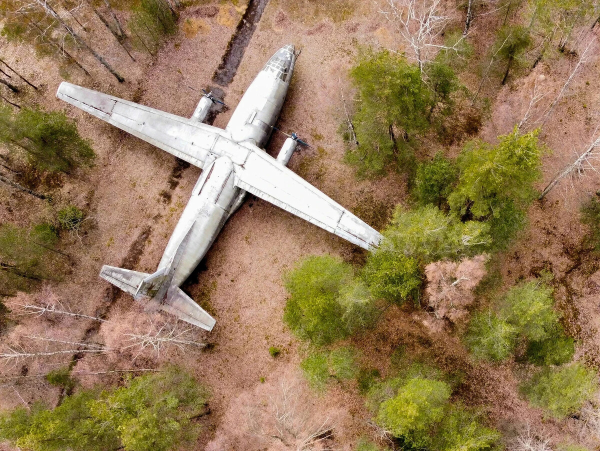 Ан 8 класс. Заброшенный самолёт АН 8 В Ленинградской области. АН-8 песочное. Богдановский лес самолет. АН 8 БД Велес.