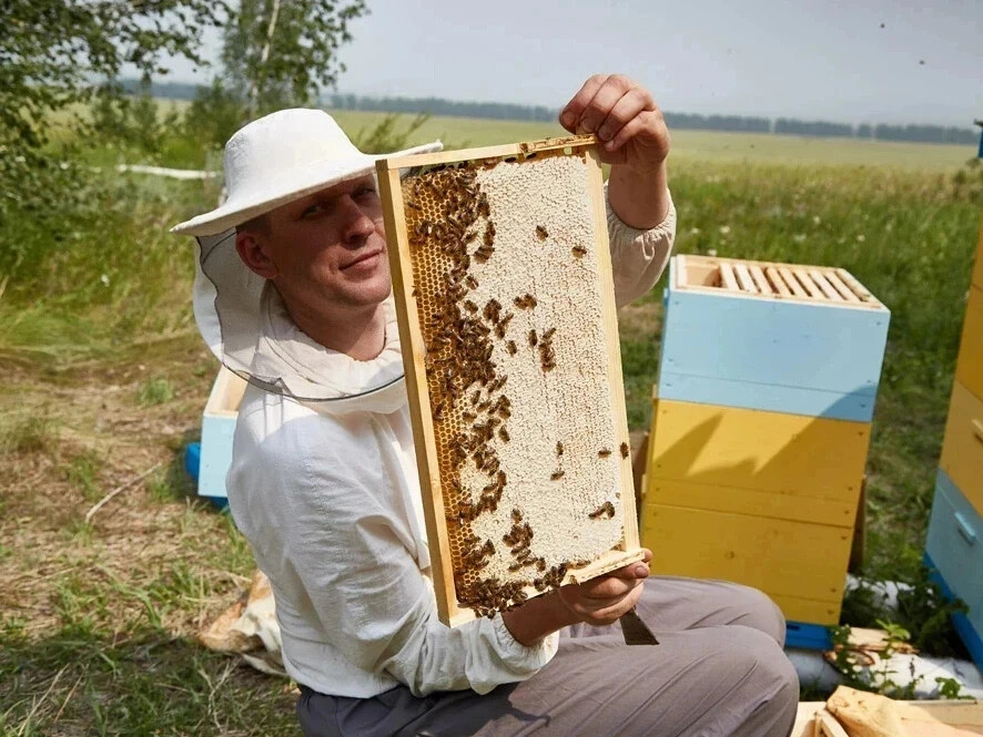 Пасечник черезано. Пасечник на пасеке. Пасечник пчеловод.