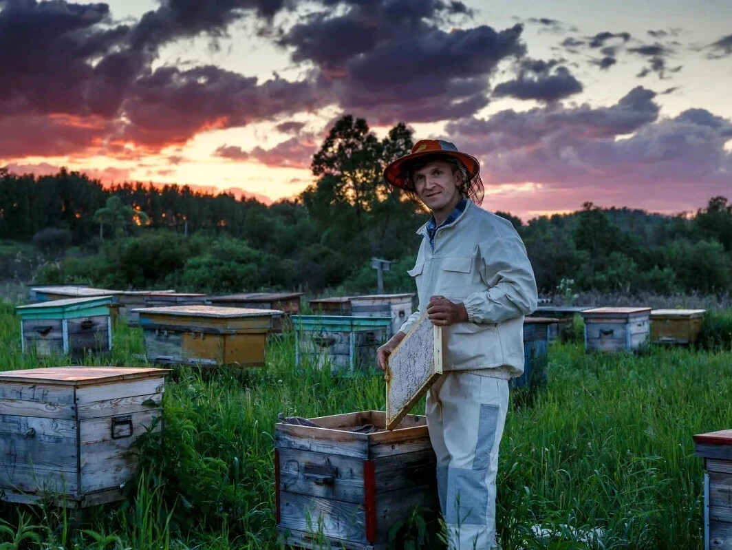 Фото пчеловода на пасеке