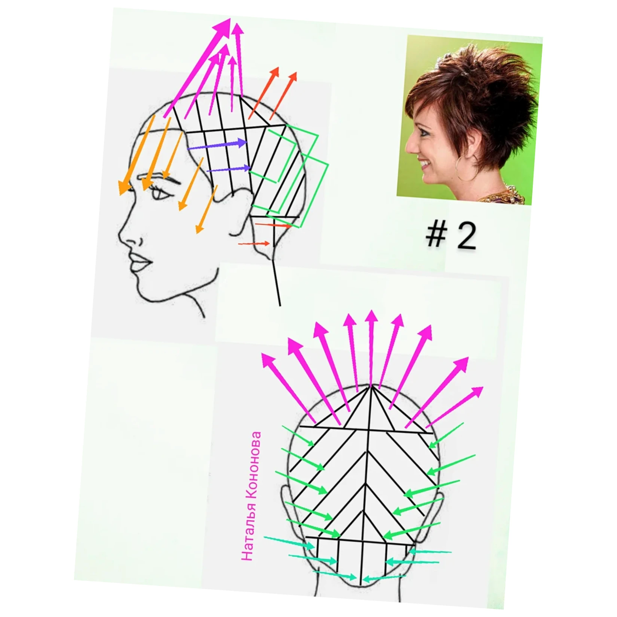 Схемы стрижек. Наталья Кононова стрижки со схемами. Градуированная короткая женская стрижка схема. Схема стрижки Пикси на короткие волосы. Наталья Кононова парикмахер схемы стрижек.