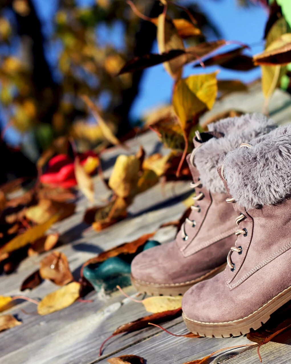 Осень обувь