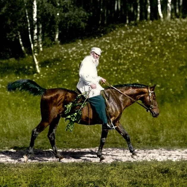 Ясная Поляна конные прогулки