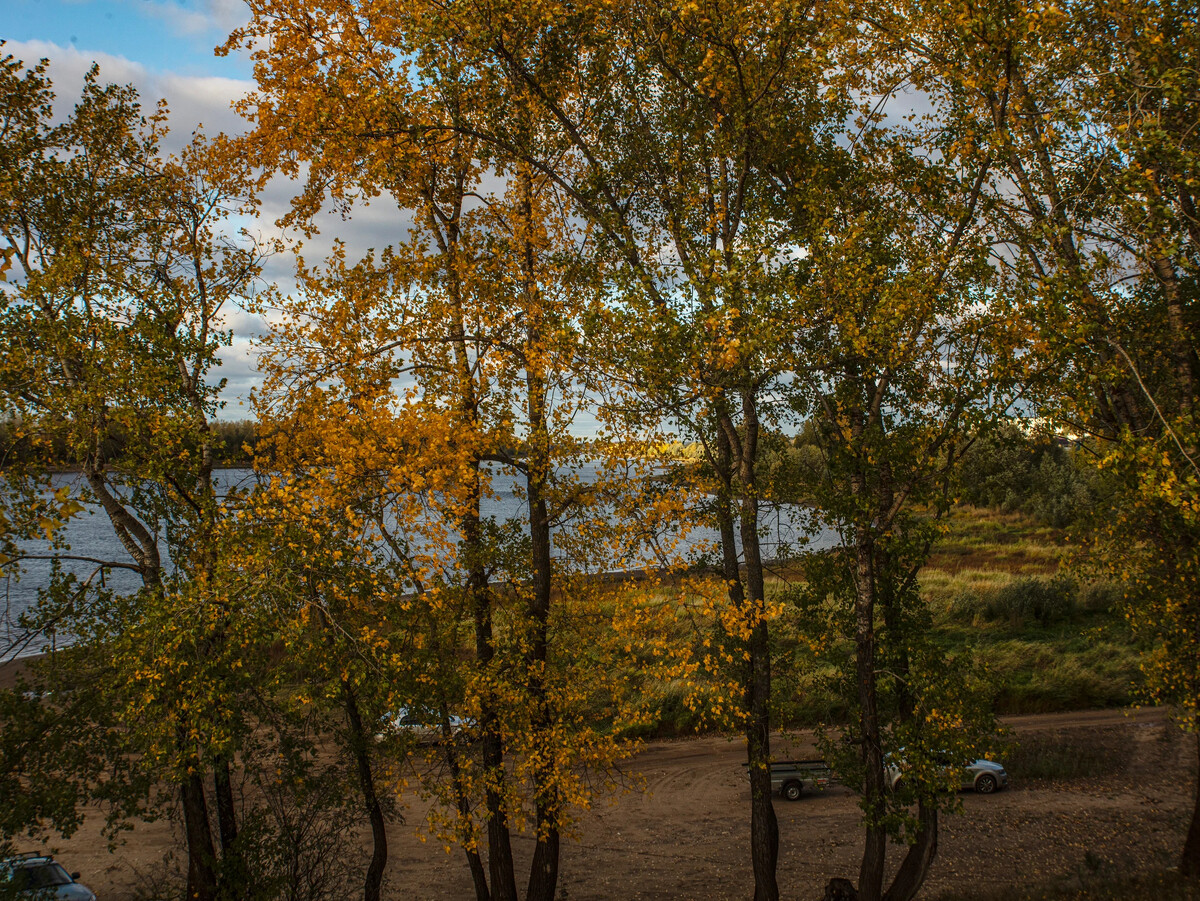 Деревья гнутся. Сильный ветер осень. Очень сильный ветер осенью. Осенний дождь. Осеннее небо.