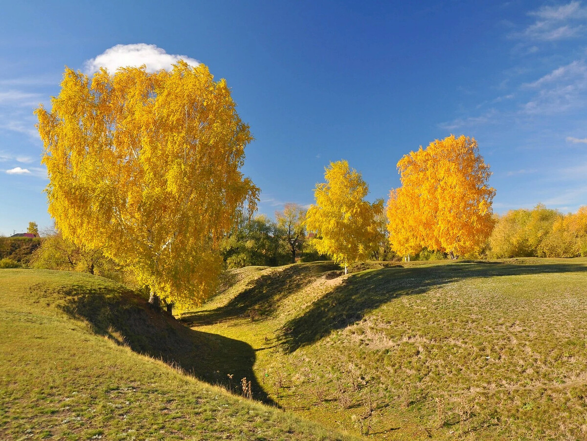 Золотая осень близко