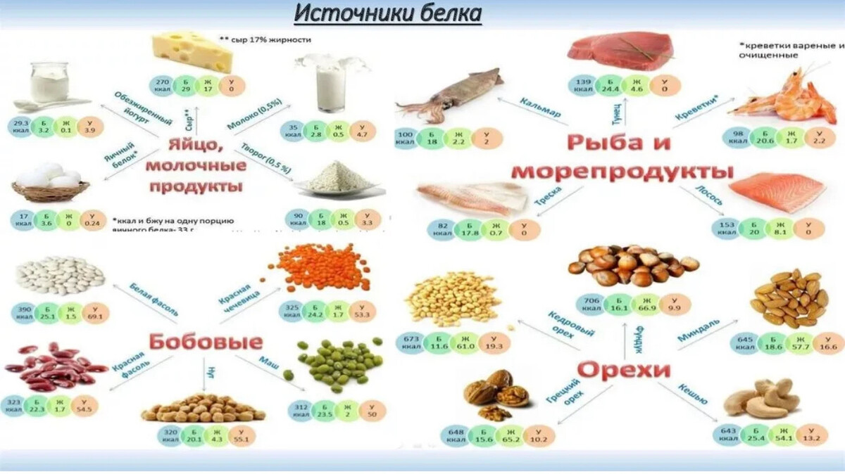 Где содержится белок. Продукты источники белка таблица. Основные пищевые источники белка. Основные источники белка в продуктах питания. Основные источники белка в питании.