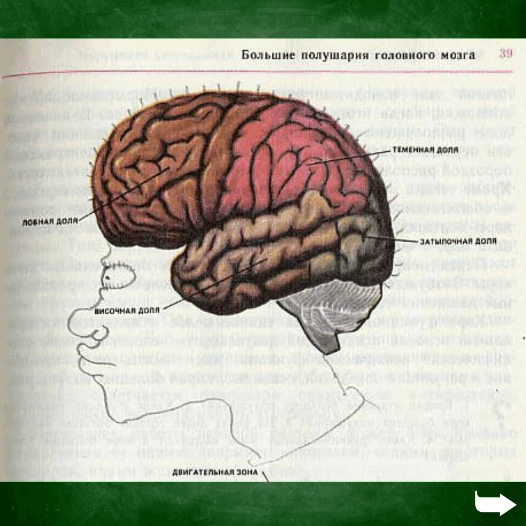 Рисунки в школьных учебниках