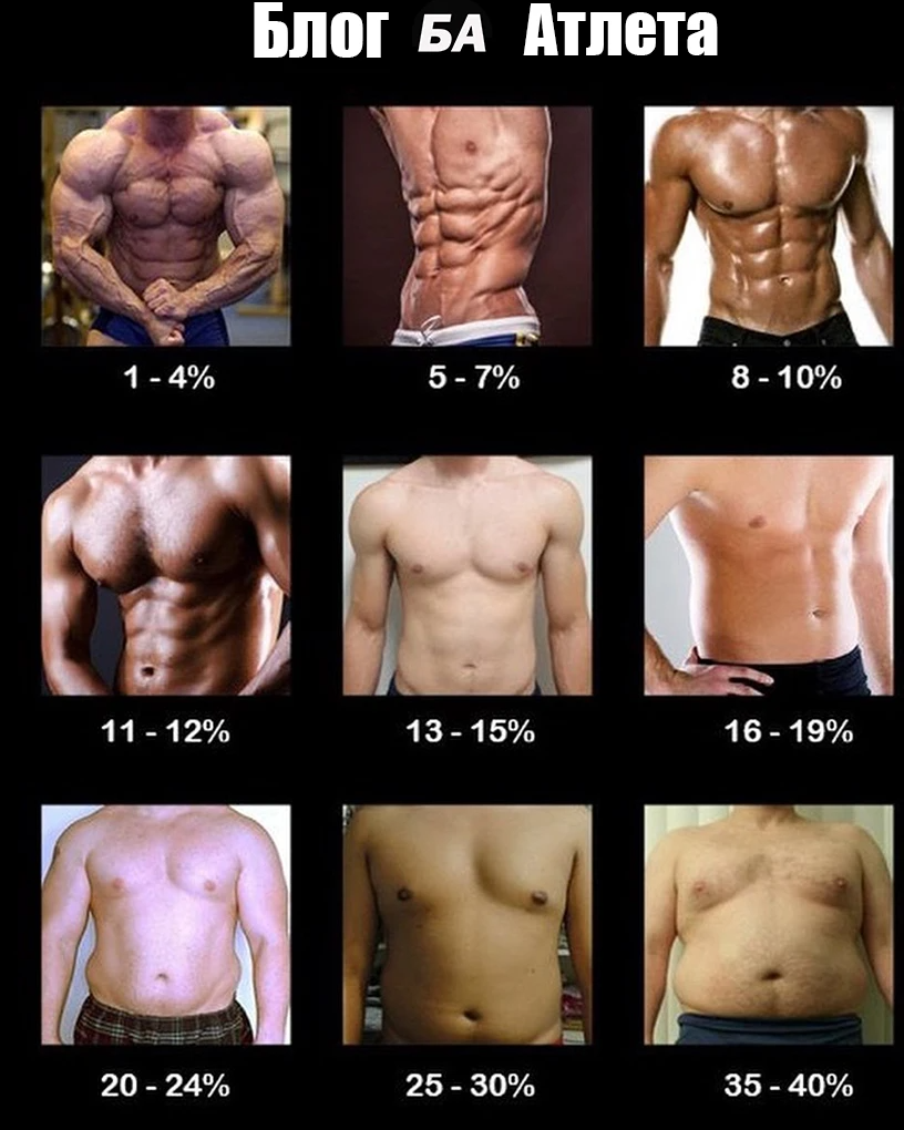 12 жира в организме. Процент жира. % Жира в организме мужчины. Процент подкожного жира. Уровень жира у мужчин.